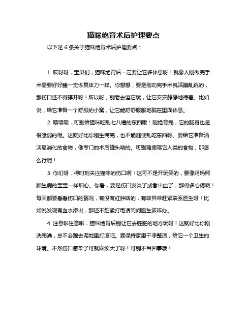 猫咪绝育术后护理要点