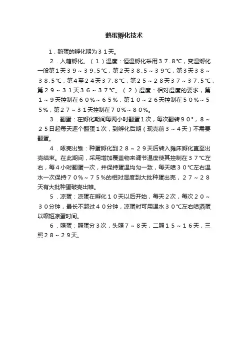 鹅蛋孵化技术
