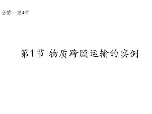 《物质跨膜运输的实例》课件3(新人教版必修1)