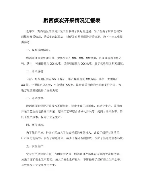 黔西煤炭开采情况汇报表