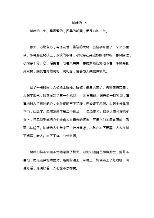 树叶的一生