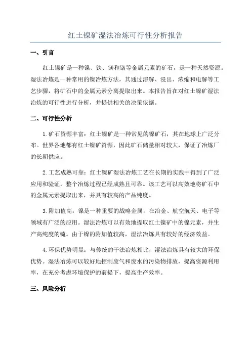 红土镍矿湿法冶炼可行性分析报告