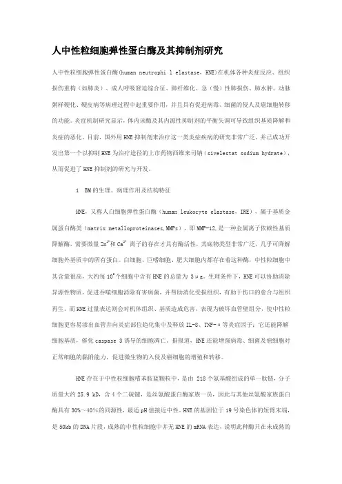 人中性粒细胞弹性蛋白酶与其抑制剂研究