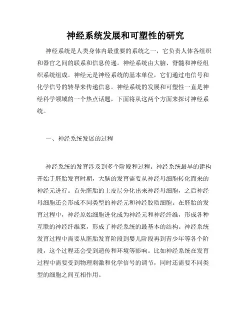 神经系统发展和可塑性的研究