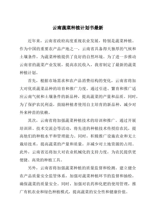 云南蔬菜种植计划书最新