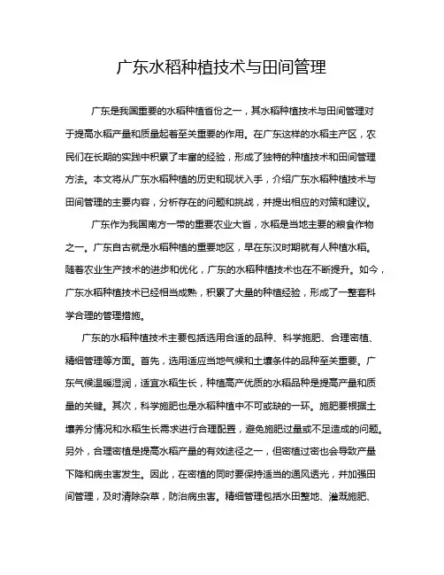 广东水稻种植技术与田间管理