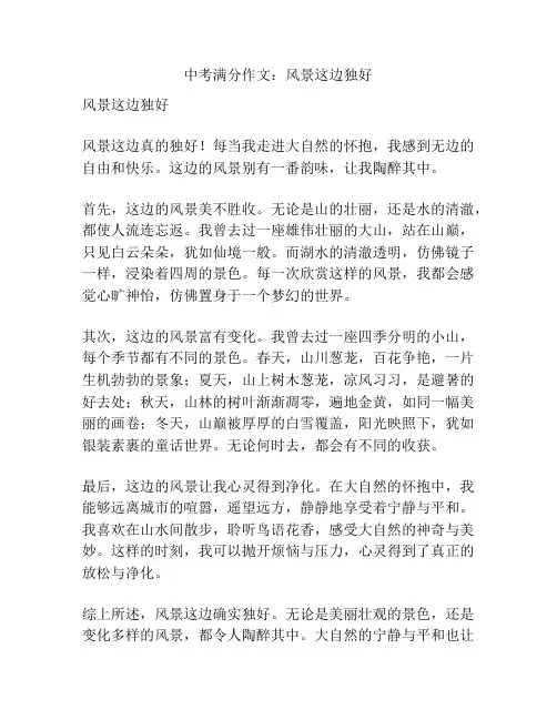 中考满分作文：风景这边独好