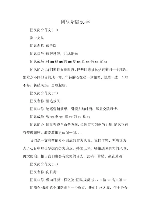 团队介绍50字