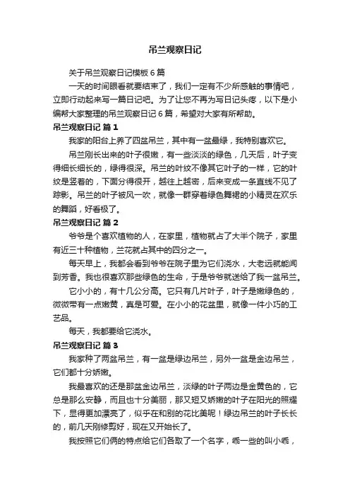 关于吊兰观察日记模板6篇