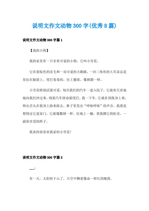说明文作文动物300字(优秀8篇)