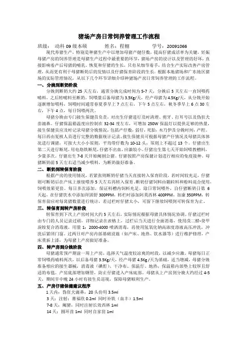 猪场产房日常饲养管理工作流程