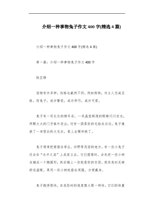 介绍一种事物兔子作文400字(精选4篇)