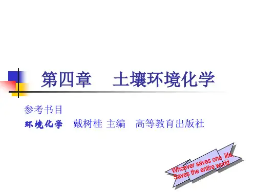 土壤环境化学环境课件讲义