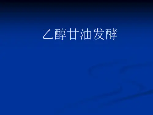 乙醇甘油发酵过程.
