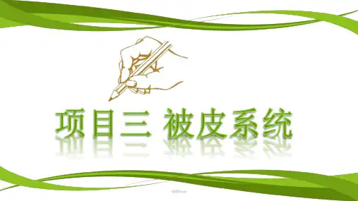 被皮系统PPT课件