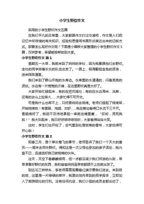 小学生野炊作文