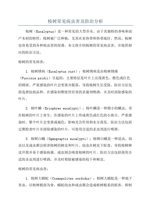 桉树常见病虫害及防治分析