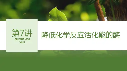 【高中生物】2024届高三生物一轮复习 降低化学反应活化能的酶