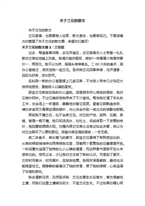 关于兰花的散文