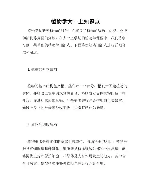 植物学大一上知识点
