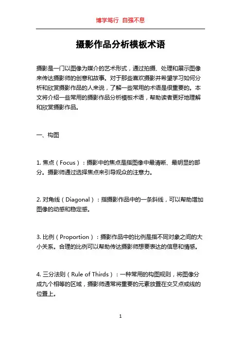 摄影作品分析模板术语