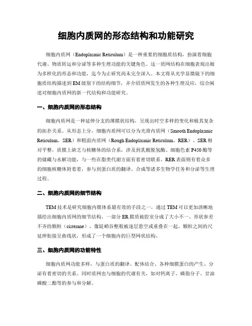 细胞内质网的形态结构和功能研究
