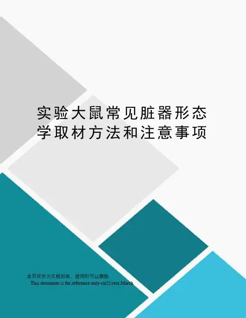 实验大鼠常见脏器形态学取材方法和注意事项