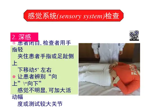 神经病学的临床方法(二)