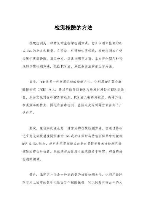 检测核酸的方法