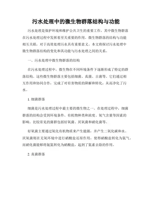 污水处理中的微生物群落结构与功能