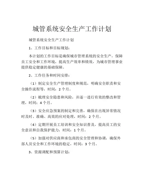 城管系统安全生产工作计划