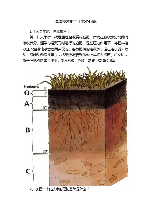 滴灌技术的二十六个问题