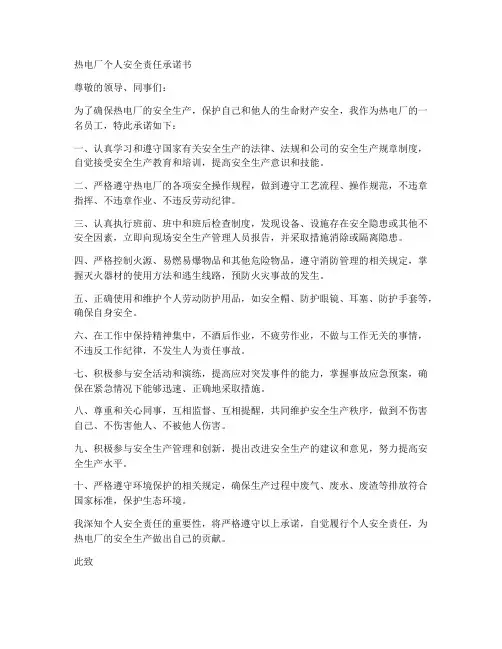 热电厂个人安全责任承诺书