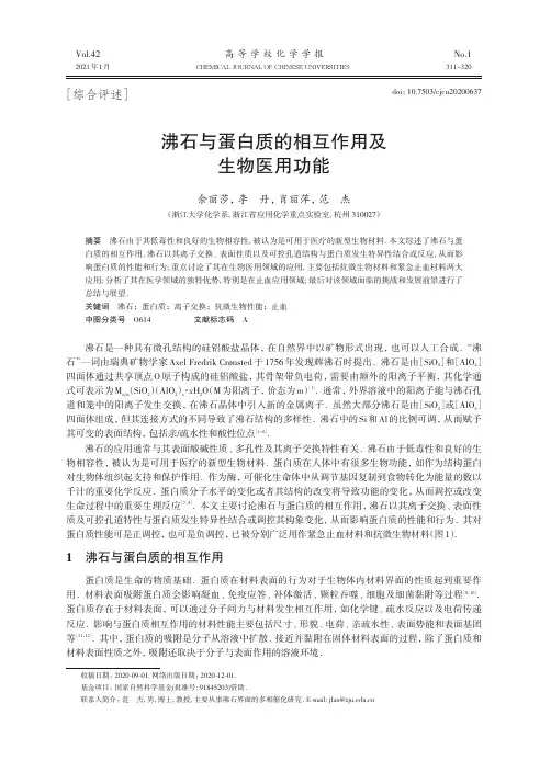 沸石与蛋白质的相互作用及生物医用功能