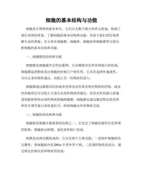 细胞的基本结构与功能