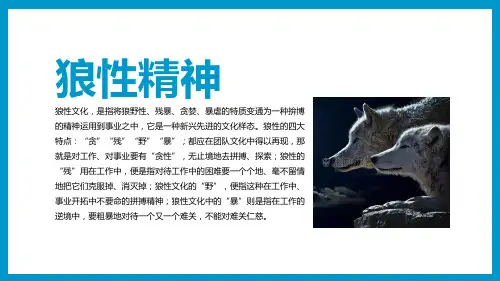 狼性文化团队管理建设PPT内容讲授