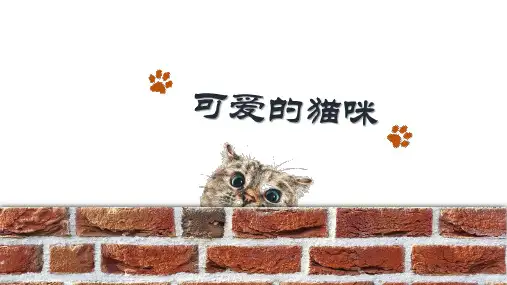 浙美版小学美术二年级下册17课可爱的猫咪(教学课件)