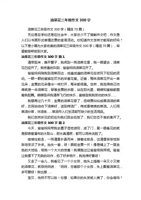 油菜花三年级作文300字（精选70篇）