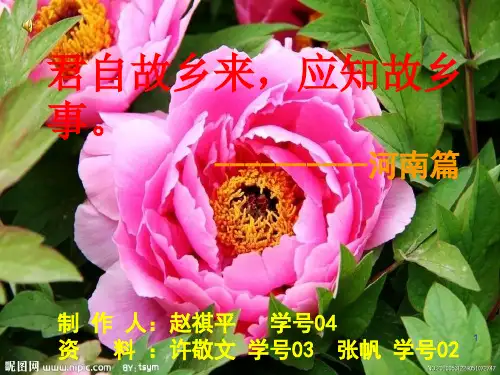 河南洛阳简介ppt课件