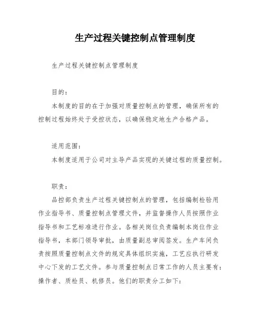 生产过程关键控制点管理制度