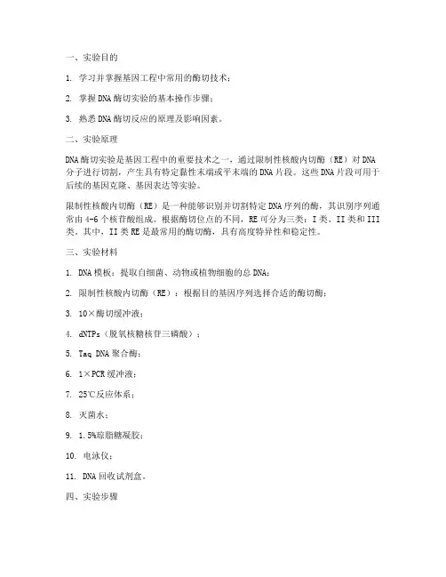 基因工程酶切实验报告