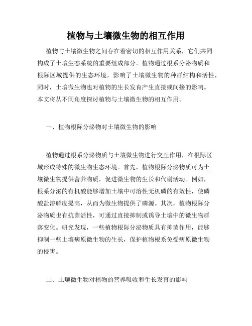 植物与土壤微生物的相互作用