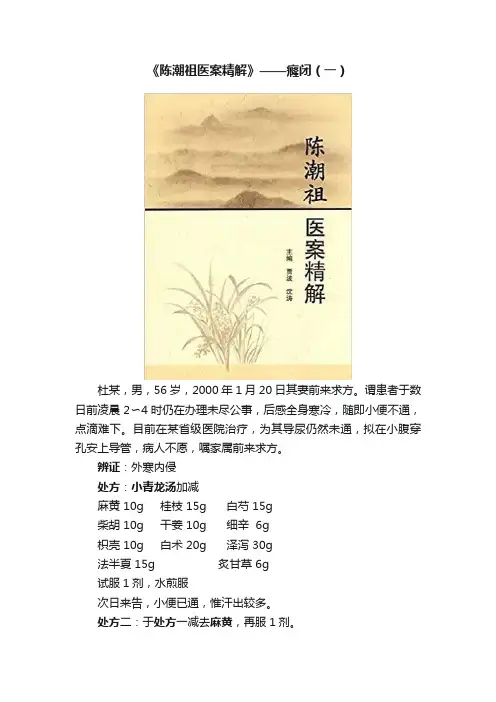 《陈潮祖医案精解》——癃闭（一）