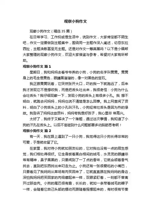 观察小狗作文（精选35篇）