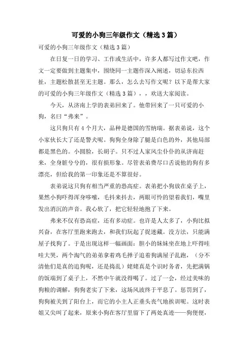 可爱的小狗三年级作文(3篇)