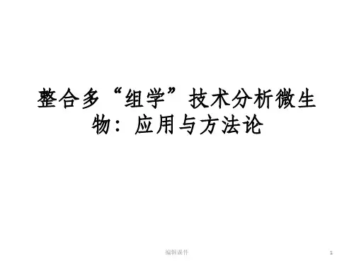 系统生物学ppt课件