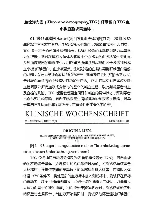 血栓弹力图（Thrombelastography,TEG）纤维蛋白TEG血小板血凝块普通杯...
