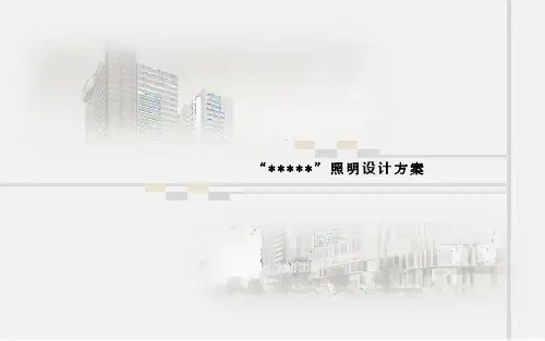 项目夜景照明工程设计方案