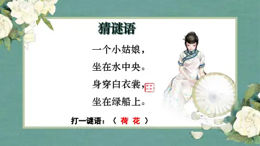 部编版三年级语文下册3.《荷花》课件(共19张PPT)