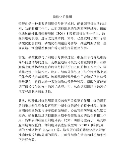 磷酸化的作用
